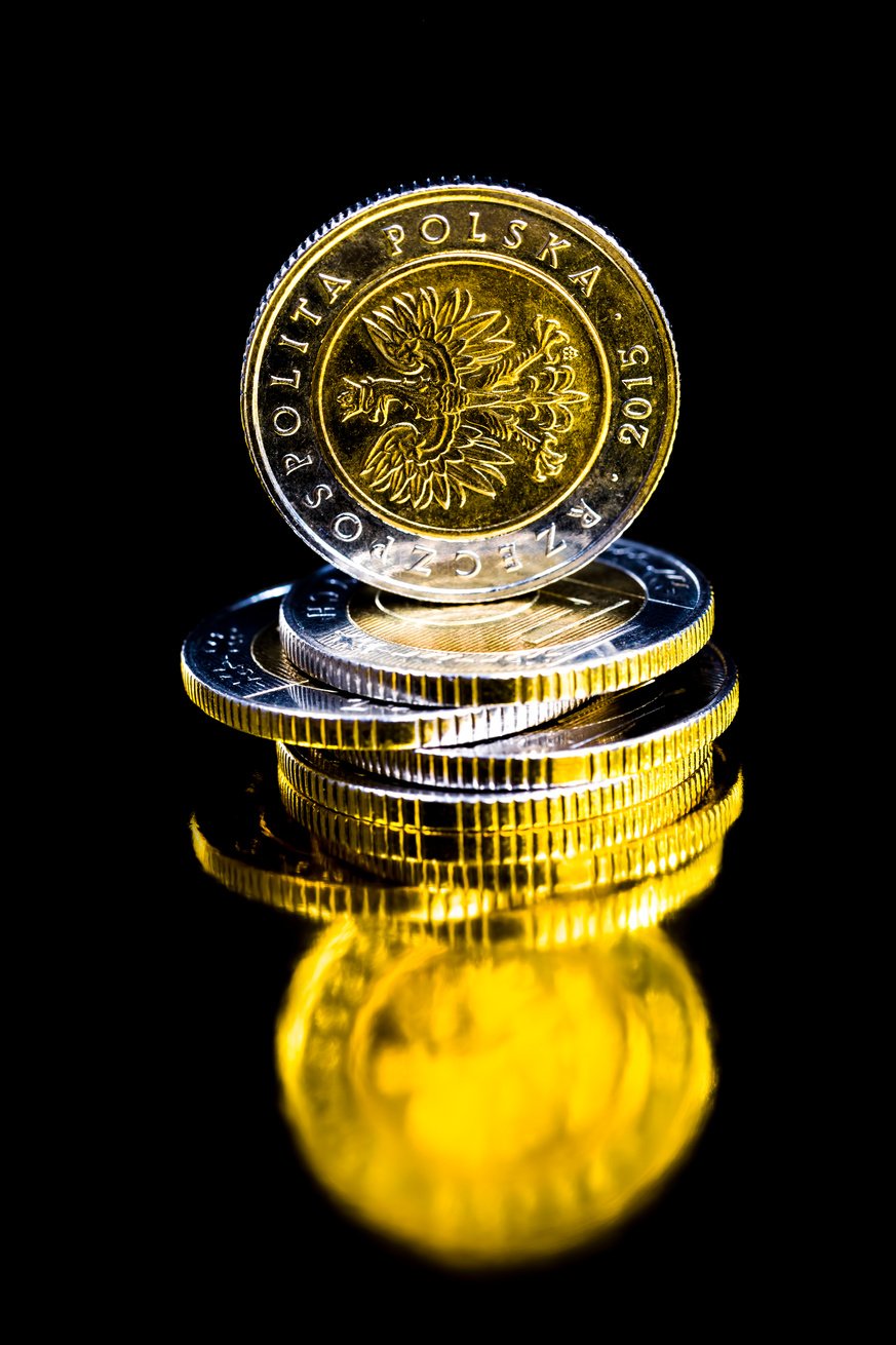 Polish Zlotys in the Form of Metal Coins